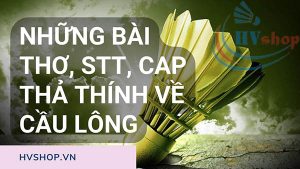 Những bài thơ, stt, cáp thả thính về cầu lông hay nhất