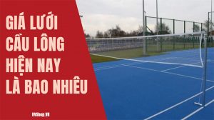 Giá lưới cầu lông trên thị trường hiện nay là bao nhiêu?