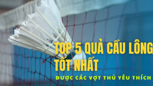 Top 5 quả cầu lông tốt nhất được các vợt thủ yêu thích