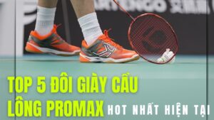 Top 5 đôi giày cầu lông Promax hot nhất hiện nay