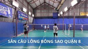 cầu lông Bông Sao quận 8