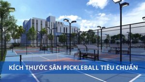 Kích thước sân pickleball
