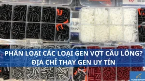 Phân loại các loại gen vợt cầu lông? Địa chỉ thay gen uy tín