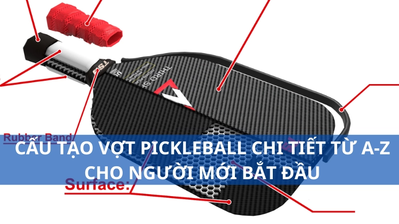 Cấu tạo vợt pickleball chi tiết từ A-Z cho người mới bắt đầu